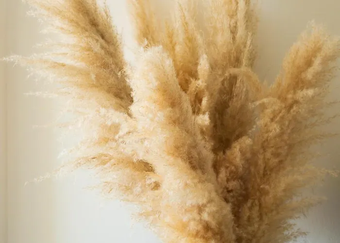 New Tosca Бардолино